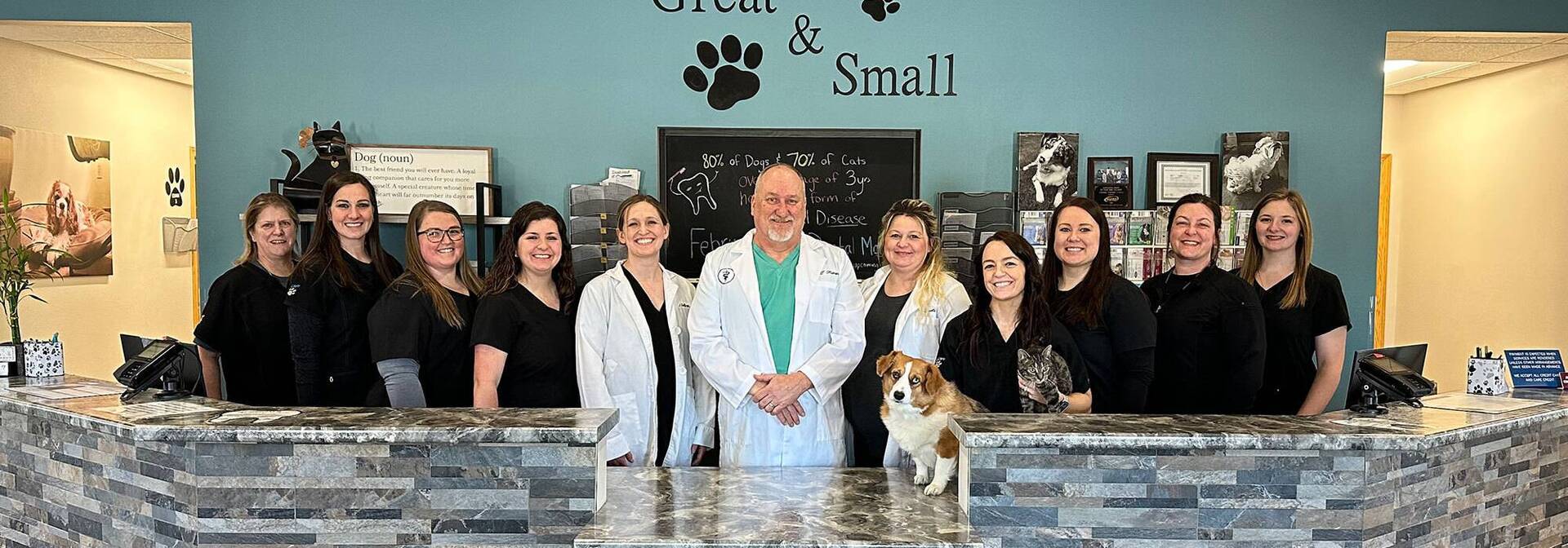 Small Animal | Holmes Animal Clinic
